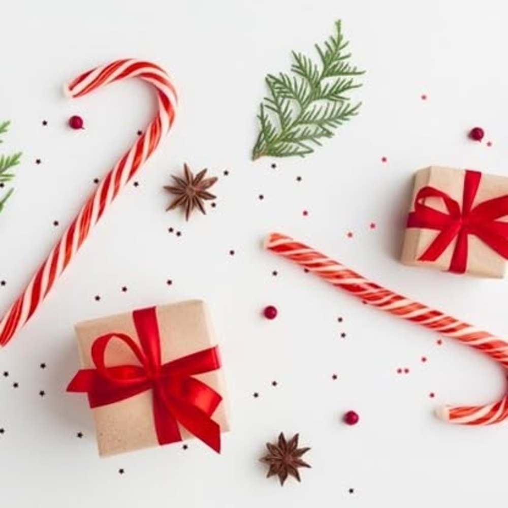 Meet your Posher, Rainy